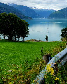 Glacier views across Lustrafjord
