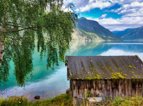 Perfect spot along Lustrafjord