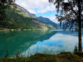 Views along Lustrafjord