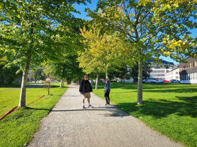 Tree-lined walkway into Voss town center