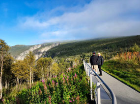 Walkway to Viewpoints