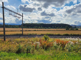 farm fields