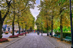 Eidsvoll park-walked through here every day