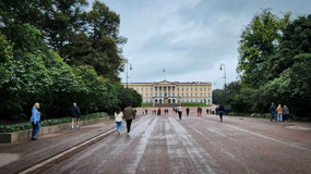 Karl Johan Gate ends at  Royal Palace