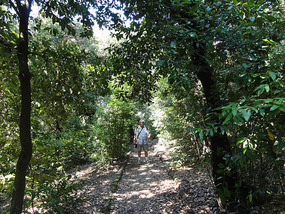 Boboli Gardens at Pitti Palace