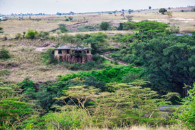 our Hillside Room - Emakoko