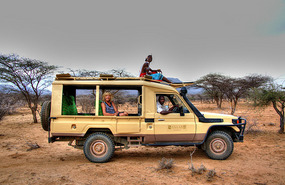 Game Drive - Sassab Safari Wagon