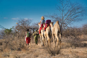 Camel Walk: Scout & Johnathan - Sasaab 