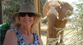 Elephant - Is this close enough? 