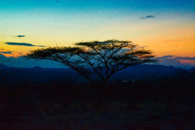 enjoying an African Sunset