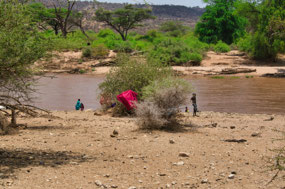 Samburu cooling off in the river