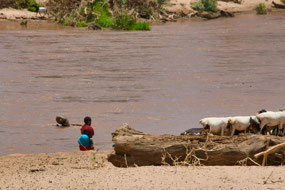 Samburu tending the animals
