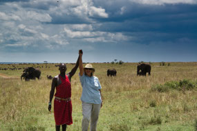 Congrats, close-up elephant experience
