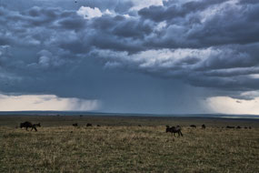 distant Thunderstorm