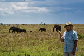 Elephants came close during lunch