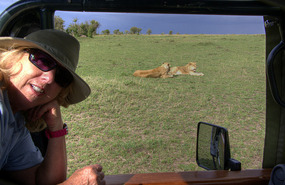 watching a Pride of Lions