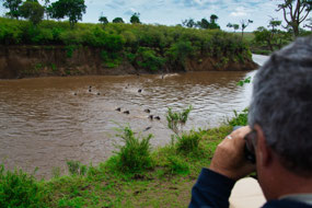 Watching right where Wildies crossed river!