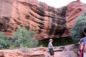 Hanging Gardens Ranger-Led Hike