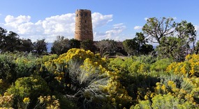 Watch Tower