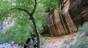 Rock Stripes--looks like they were painted