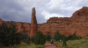 Chimneys Everywhere--Nature Wallk 