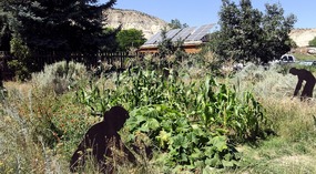 Cannonville Visitor Center Farm Exhibit