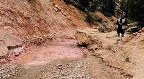 Pink Rocks