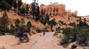 Water Canyon