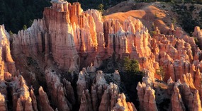 Remarkable Colors at Sunrise--Bryce Point