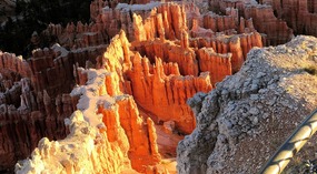 Light Hitting Bottom Hoodoos--Bryce Point