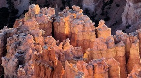 Can't Stop Taking Pictures--Bryce Point