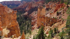 Black Birch Canyon