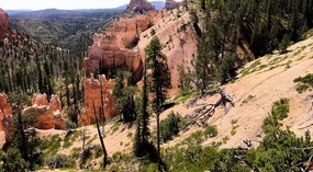 Swamp Canyon