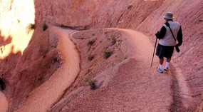 Beginning Navajo Trail
