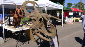 National Park Displays at Art Festival