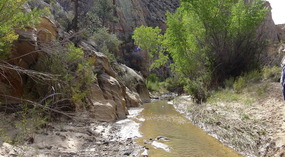 Escalante River in October