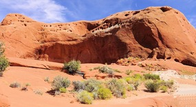  Dance Hall Rock