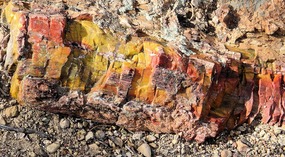  Aamazing Color