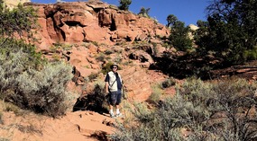 Calf Creek Falls Trail