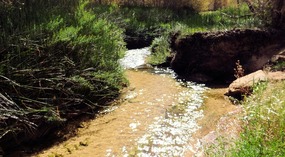 Calf Creek View Along Trail