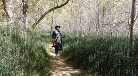 Swamp Area Along Trail