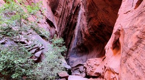 Slit Rock Narrow Walls