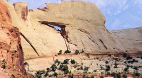  Peekaboo Arch