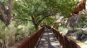   Boardwalk to more Petroglyphs