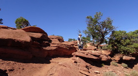 Goosenecks Point Trail