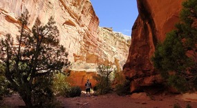 Grand Wash Trail