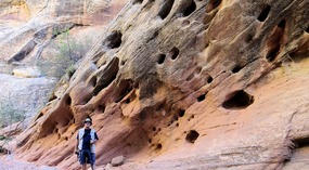 Capitol Gorge Trail