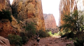 Capitol Gorge Trail