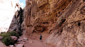 Grand Wash Trail