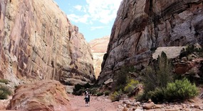 Grand Wash Trail